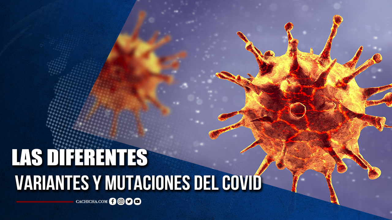 Las Diferentes Variantes Y Mutaciones Del Covid  | Tu Tarde