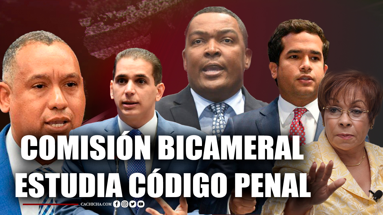 Comisión Bicameral Estudia Código Penal