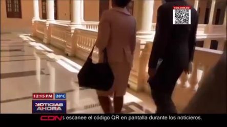 En Medio De Cuestionamientos Josefa Castillo Visita Al Palacio Nacional