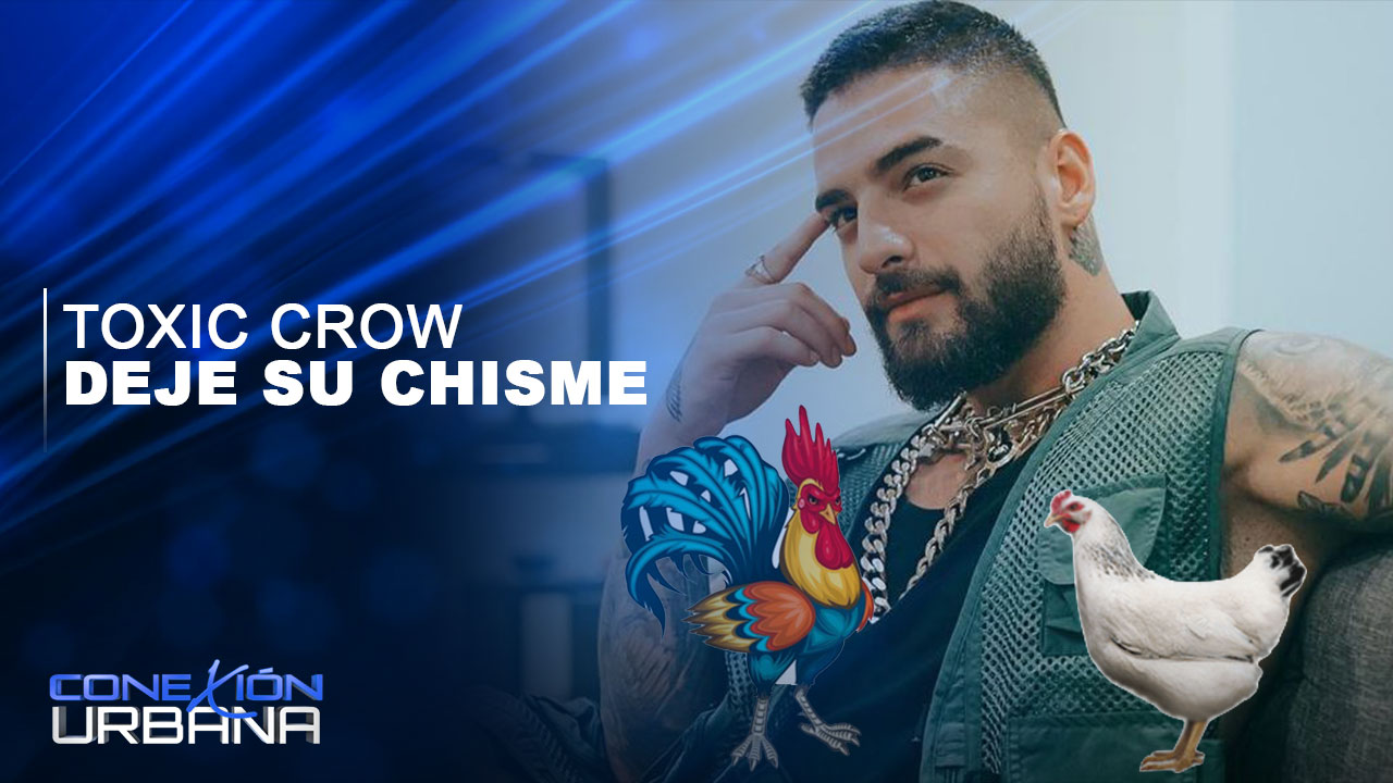 Maluma Revela Si Es Gallo O Gallina