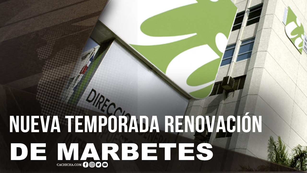 Lo Que Necesitas Saber Para Renovar El Marbete