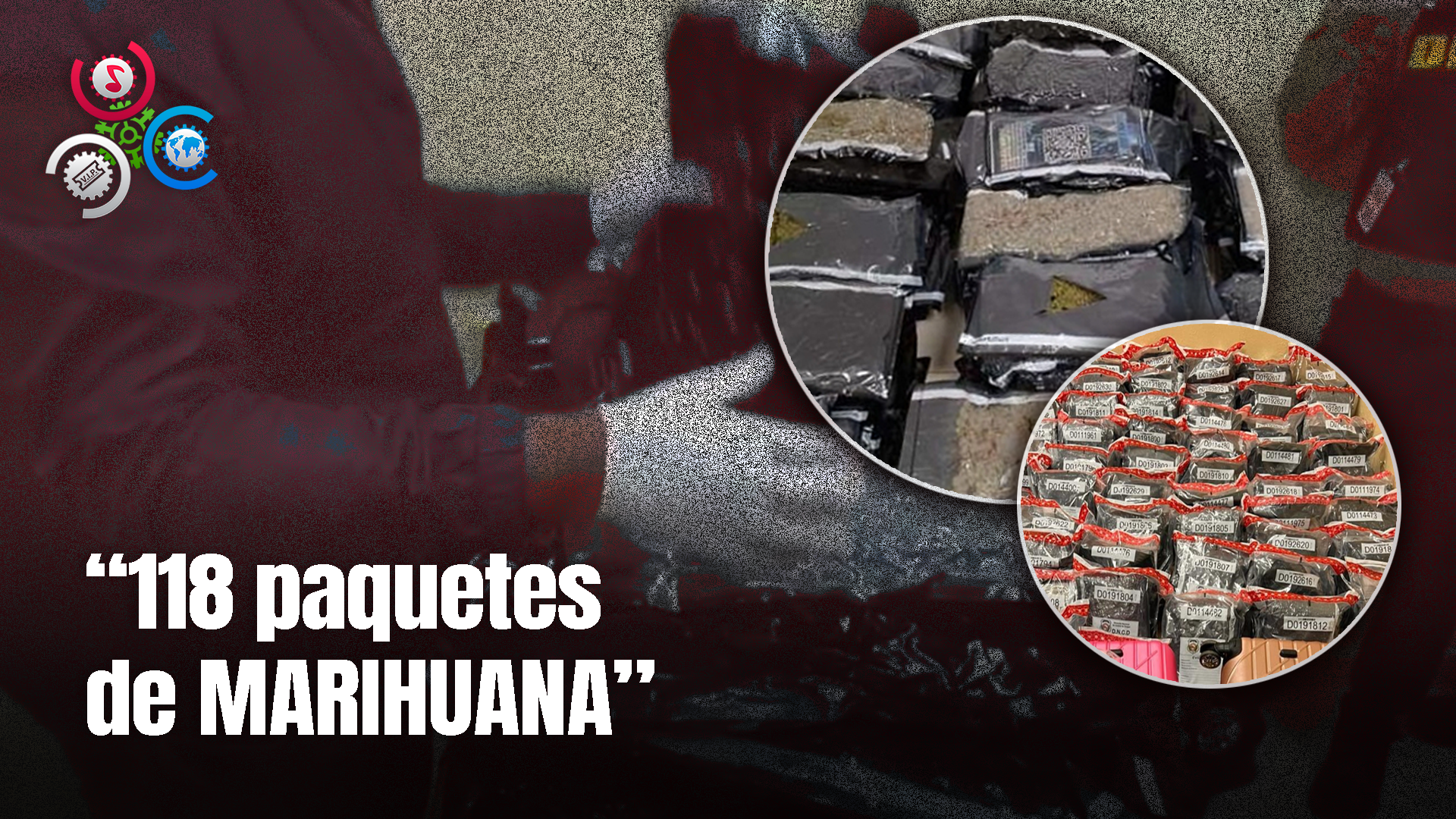 Decomisan 118 Paquetes De Marihuana En Aeropuerto Del Cibao