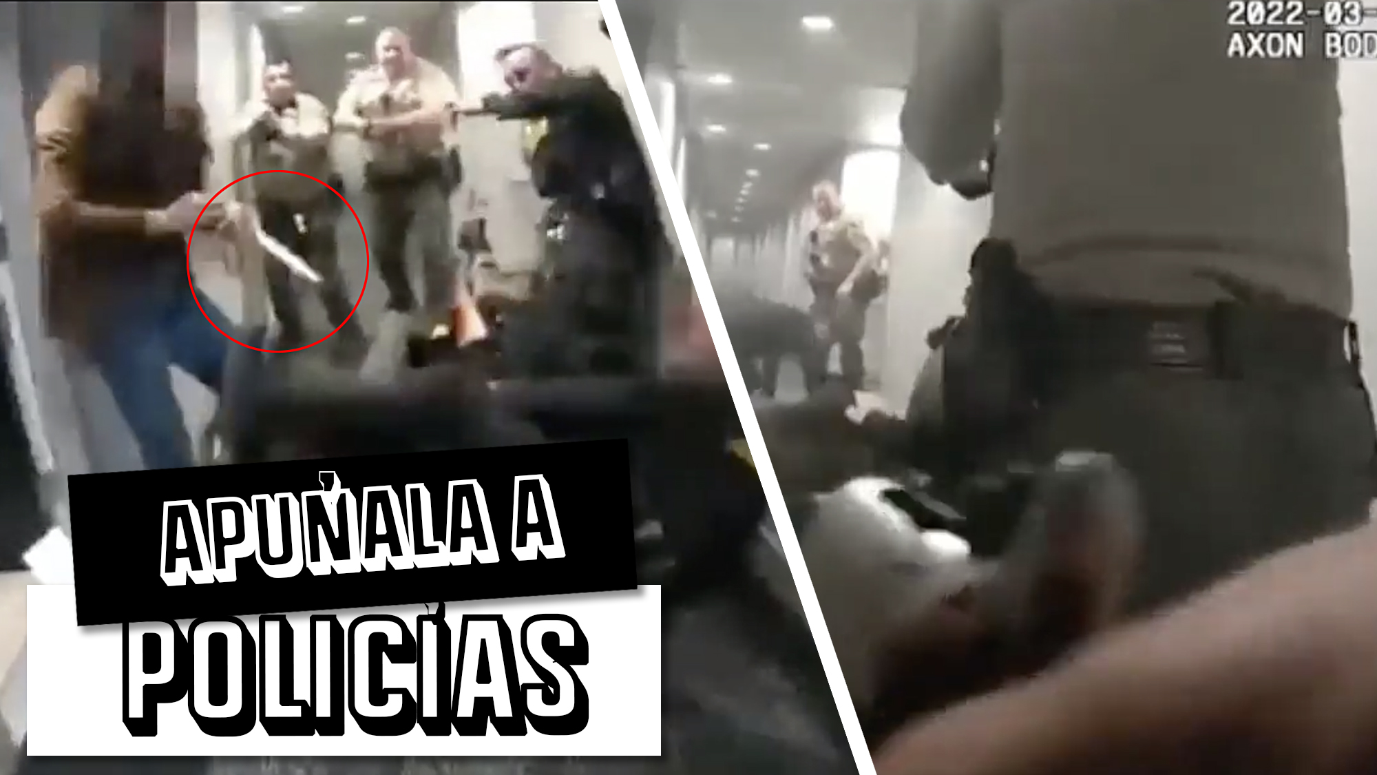 (Sensible) Mujer Apuñala A Grupo De Policías Y Luego Es Tiroteada Por Las Autoridades