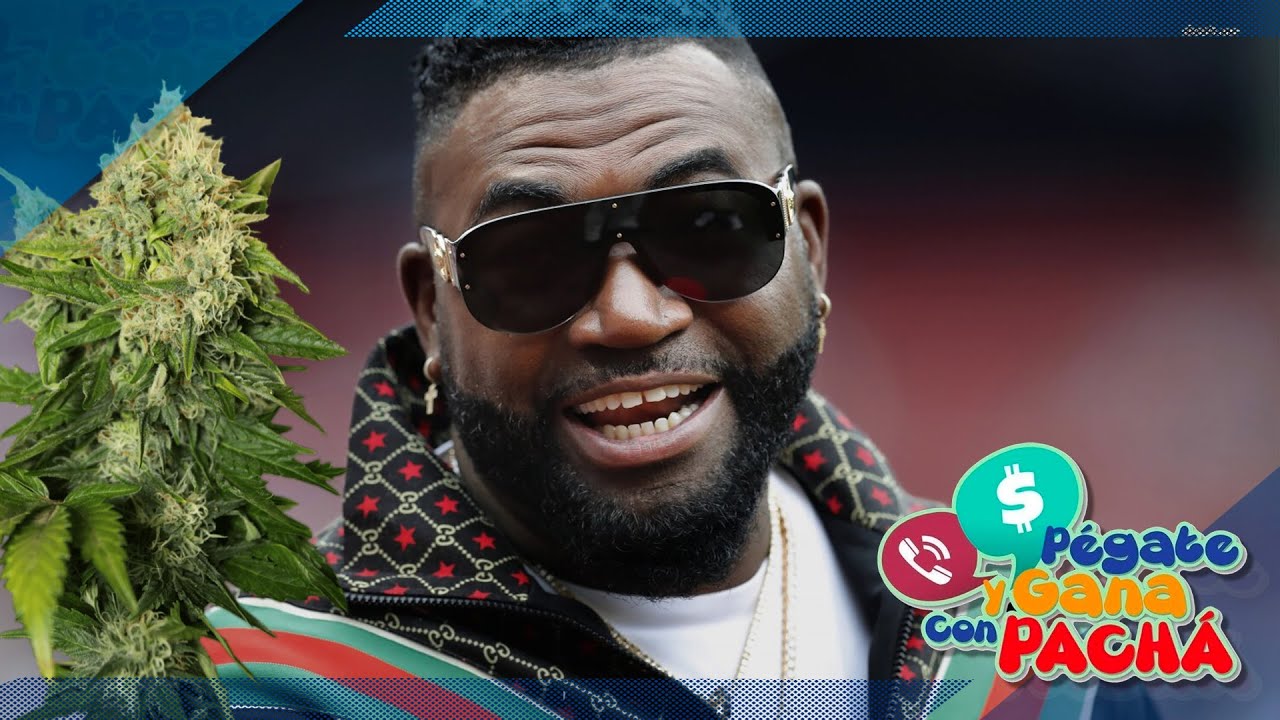 ¿Se Perderá El Modelo A Seguir De David Ortiz Por Vender Cannabis? | Pégate Y Gana Con El Pachá
