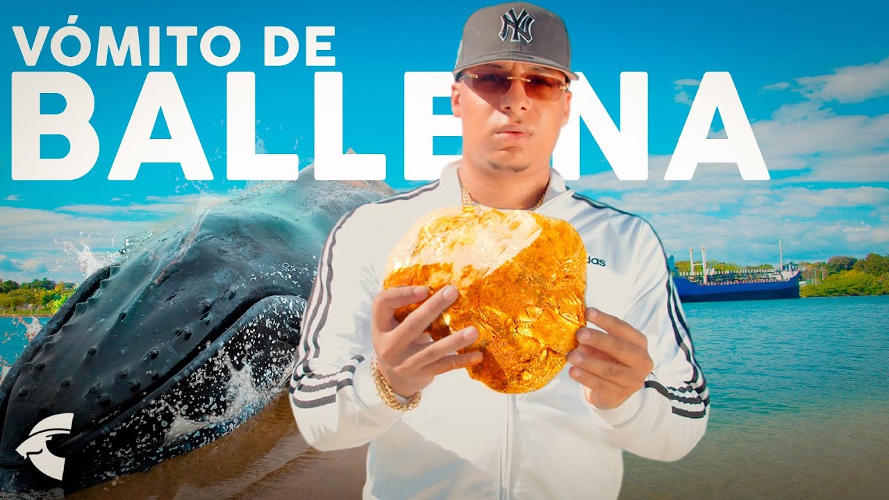 VOMITO DE BALLENA 4 Millones De Pesos En Esta Piedra | DOCUMENTAL