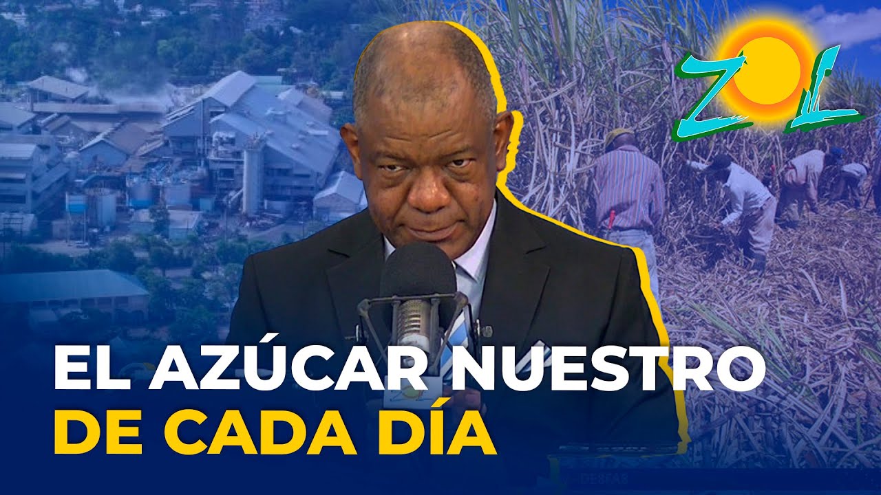 ¿Cómo Ha Impactado Lo De Central Romana A Nuestra Economía?