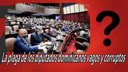 La Plaga De Los Diputados Dominicanos Vagos Y Corruptos