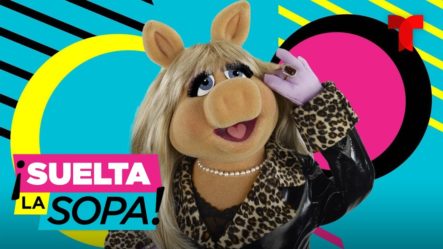 Piden Cancelar Al Personaje De ‘Miss Piggy’ De ‘Los Muppets’ | Suelta La Sopa