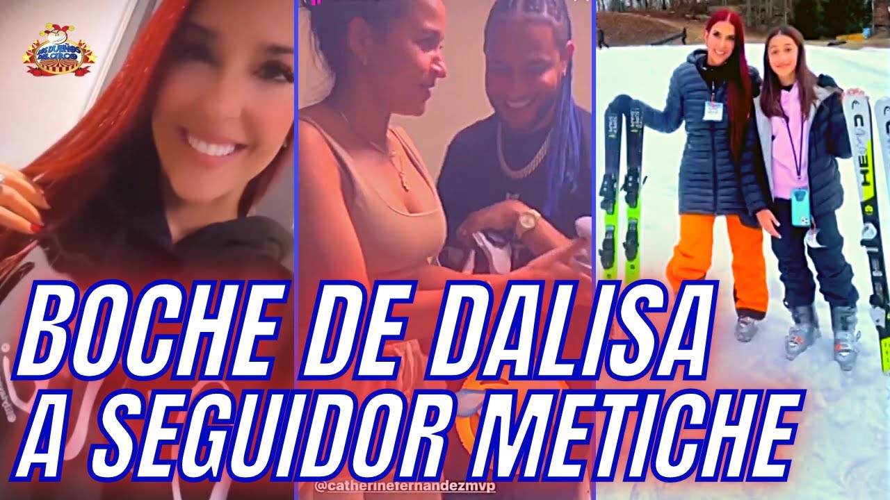 Mozart No Durmió Anoche Fuera De Casa Por Culpa De Alexandra | Boche De Dalisa A Seguidor