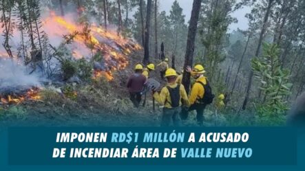 RD$1 Millón A Acusado De Incendiar área De Valle Nuevo