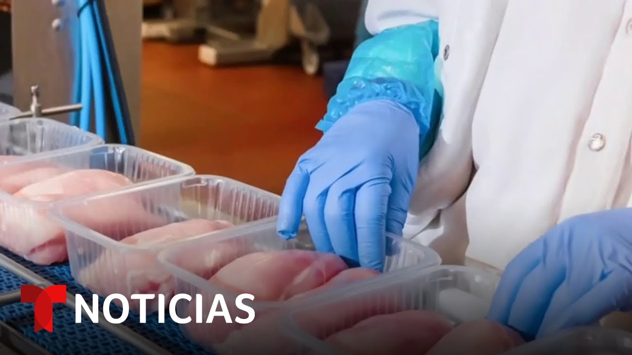 Así Se Produce El Pollo Cultivado En Laboratorio | Noticias Telemundo