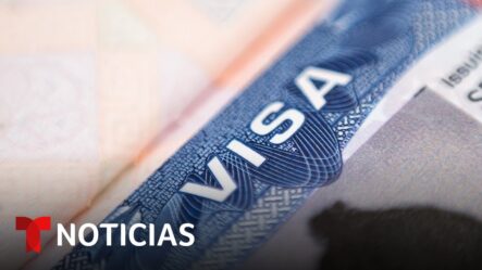 Si Fui Deportado Por Fraude, ¿puedo Pedir Un Perdón? | Noticias Telemundo
