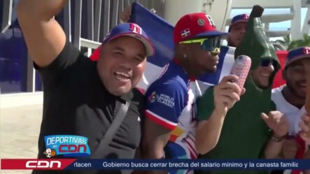 Fanáticos Dominicanos Disfrutan En Grande Tras Triunfo Dominicano En El Clásico