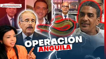 Cuñados De Danilo A Punto De Caer | Todos Los Detalles De La Operación Anguila