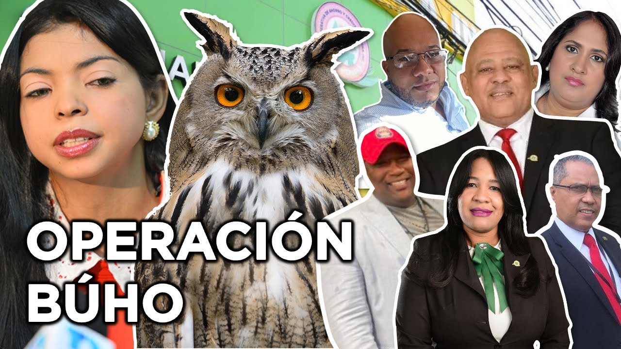 Yeni Berenice Desata La Operación Búho | Fraude $2,500 Millones COOPHerrera