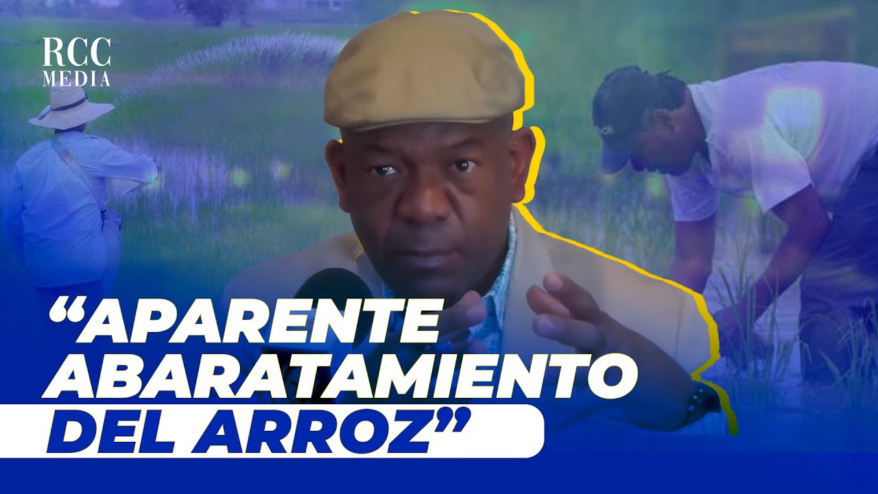 No Podemos Darnos El Lujo De Prescindir De Un Sector Importante Como El Arrocero