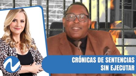 Actualización Crónicas De Sentencias Sin Ejecutar | Nuria Piera 