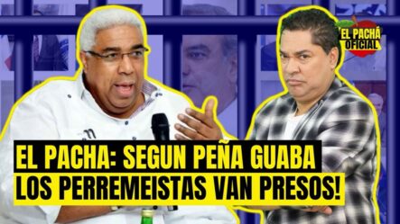 El Pachá: ¡Según Peña Guaba Los Perremeistas Van Presos!