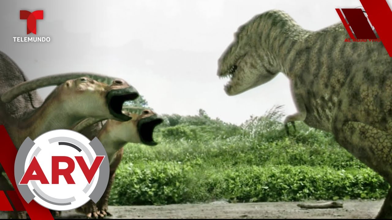 Descubren Por Qué Los Dinosaurios Herbívoros Se Volvieron Caníbales