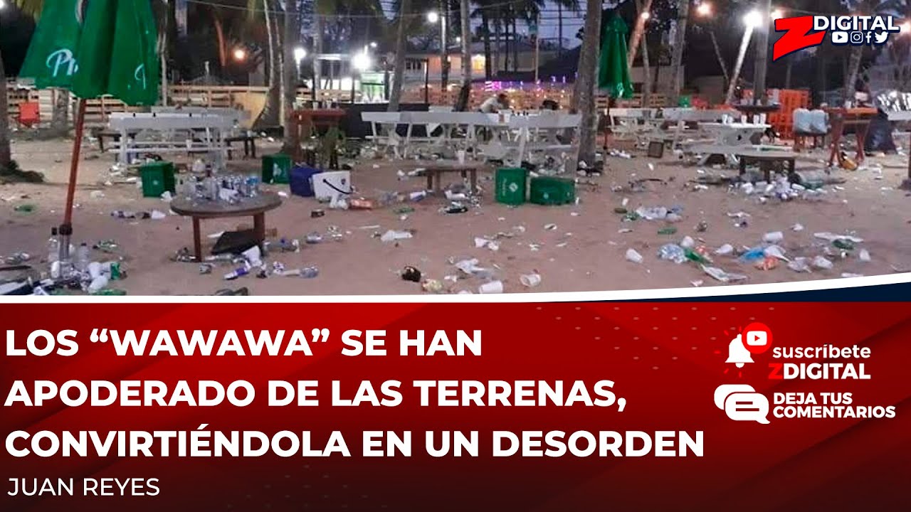 Los “wawawa” Se Han Apoderado De Las Terrenas, Convirtiéndola En Un Desorden