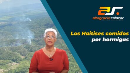 Altagracia Salazar: Los Haitises Comidos Por Hormigas | Sin Maquillaje