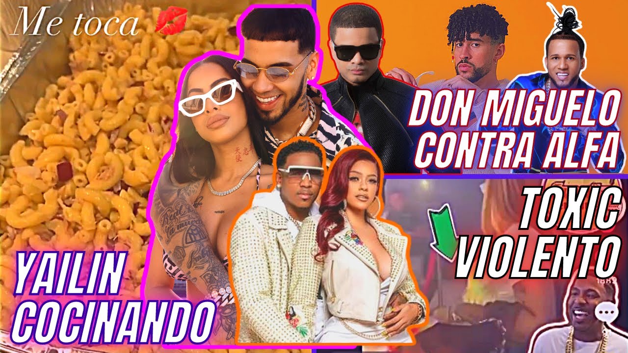 Don Miguelo Acaba A Alfa/Toxic Agrede A Hombre Beso A Insu/ Yailin Cocina A Anuel | Breves Y Pulluas