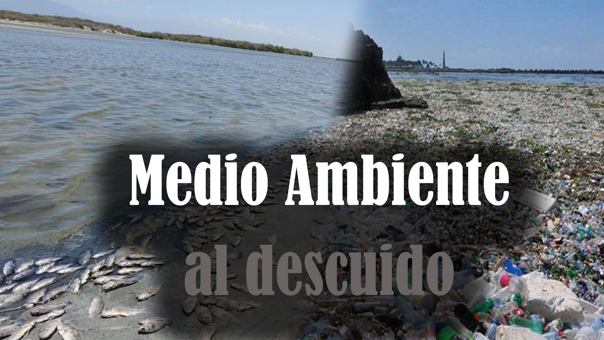 Ponen “al Desnudo” Todo El Descuido Del Medio Ambiente