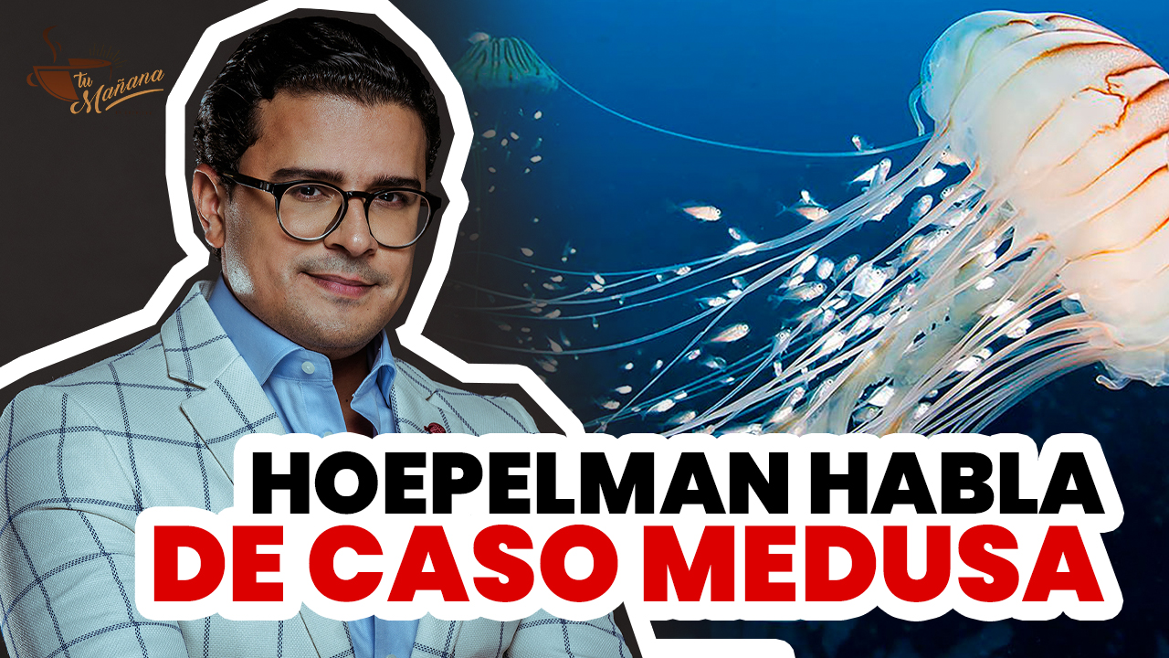 José Hoepelman Habla Del Caso Medusa | Tu Mañana