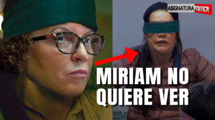 Los Casos De Corrupción Que Miriam Germán No Quiere Ver