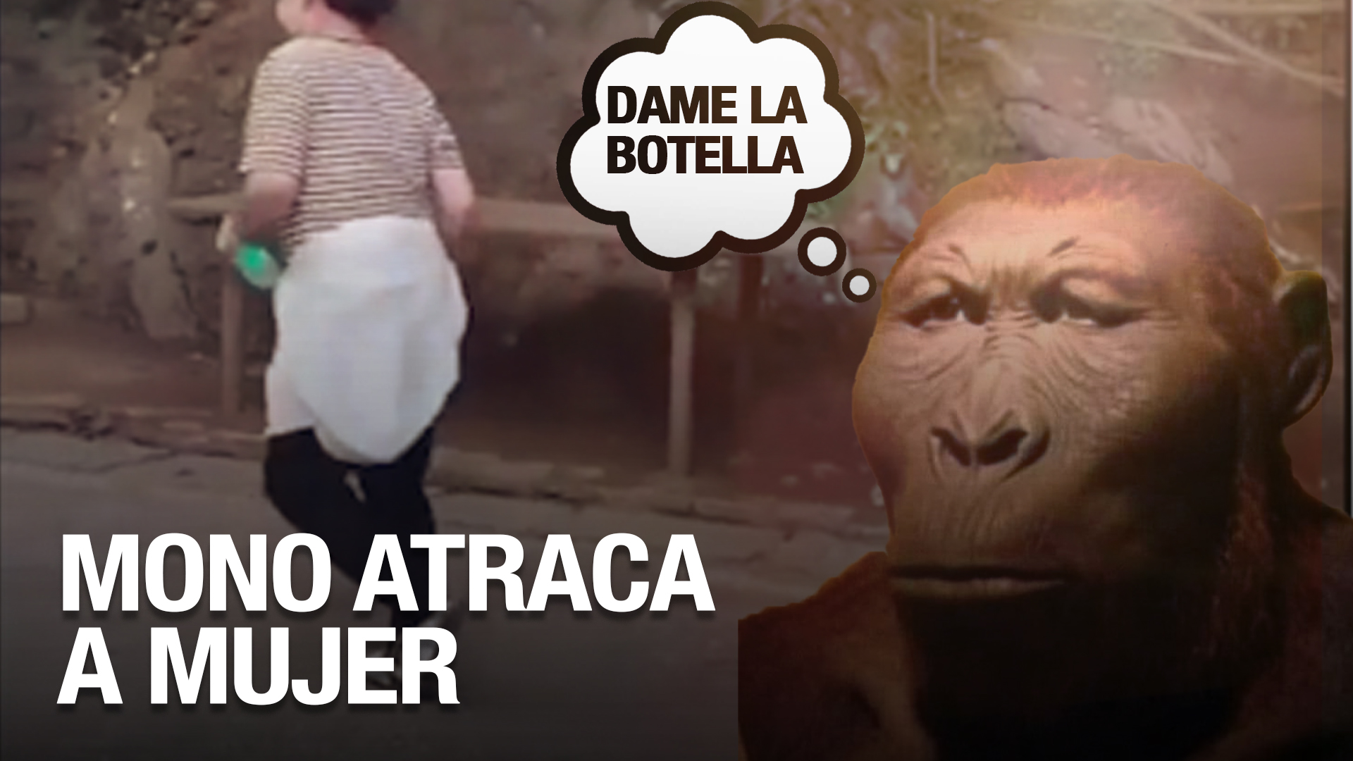 Mono Le Roba Refresco A Mujer “Pa’ La Calor”