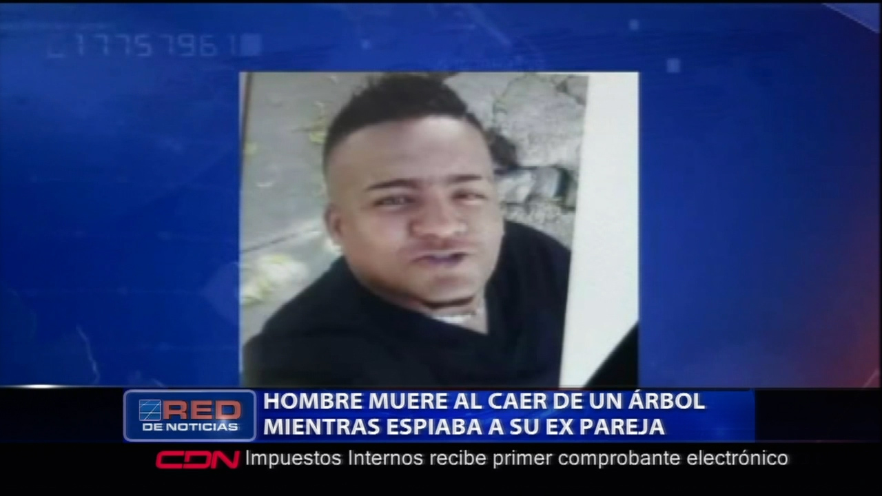 Hombre Muere Al Caer De Un Árbol Mientras Espiaba A Su Ex Pareja
