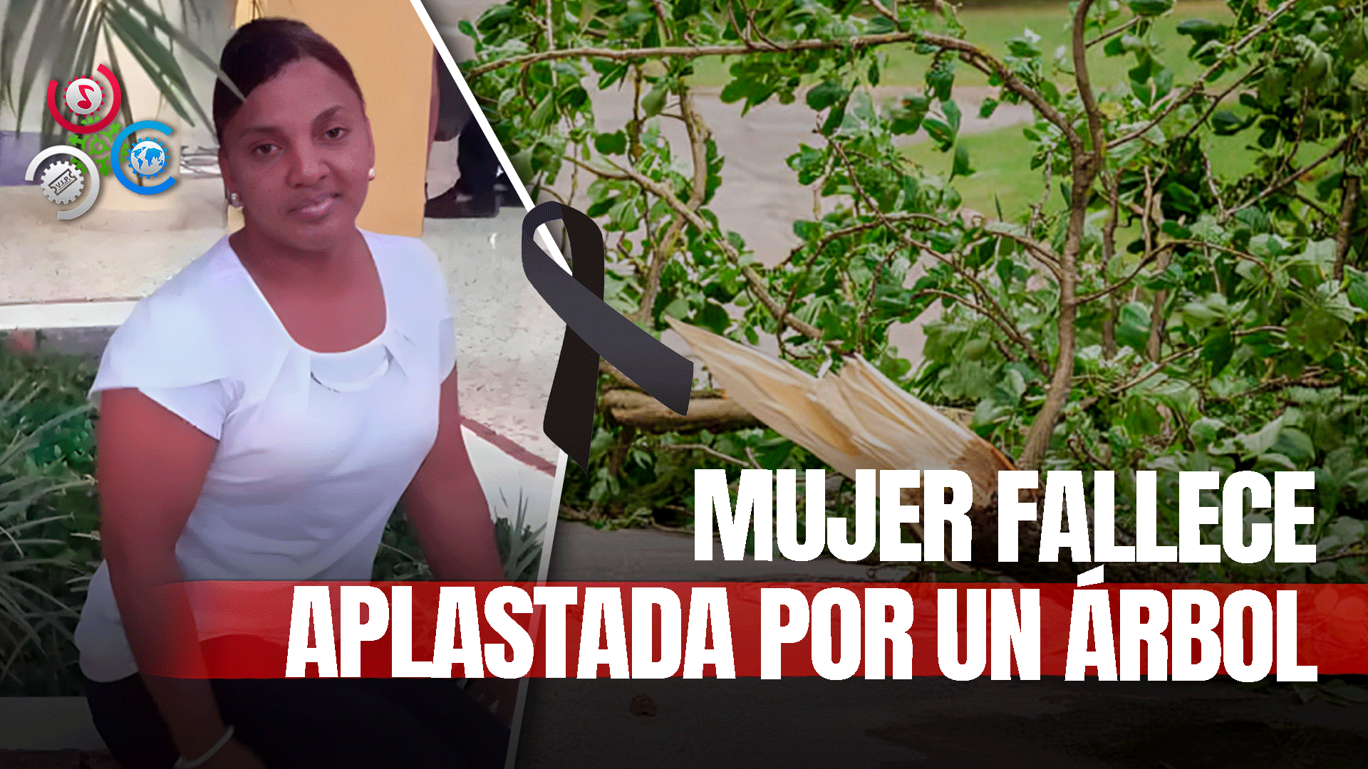 Enfermera Pierde La Vida Y Otra Resulta Herida Tras Caerles Un árbol En Bonao