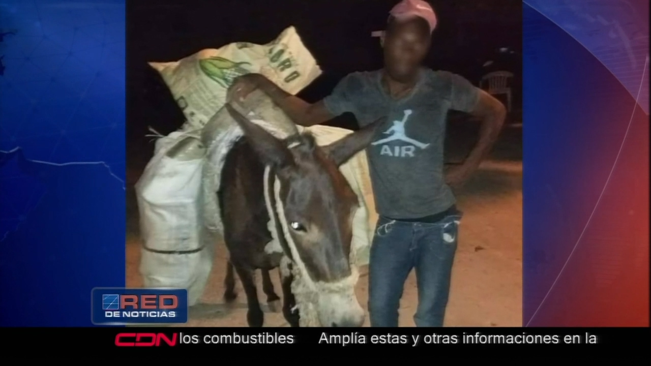 Miembros Del Ejército Apresaron A Dos Hombres Con Una Mula Cargada Con 14 Paquetes De Marihuana