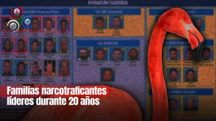 Seis Narcofamilias Han Controlado El Tráfico De Drogas En La Región Sur En Los últimos 20 Años