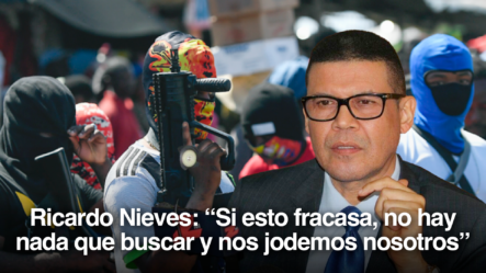 Ricardo Nieves: “Si Esto Fracasa, No Hay Nada Que Buscar Y Nos Jodemos Nosotros” Situación Haití