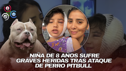 Horror En Hollywood: Niña De 8 Años Con Autismo Es Atacada Por Un Pitbull Frente A Su Casa