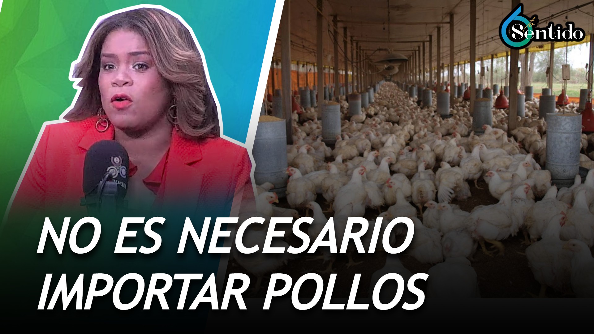 Avicultores Dicen Que No Es Necesario Importar Pollos | 6to Sentido