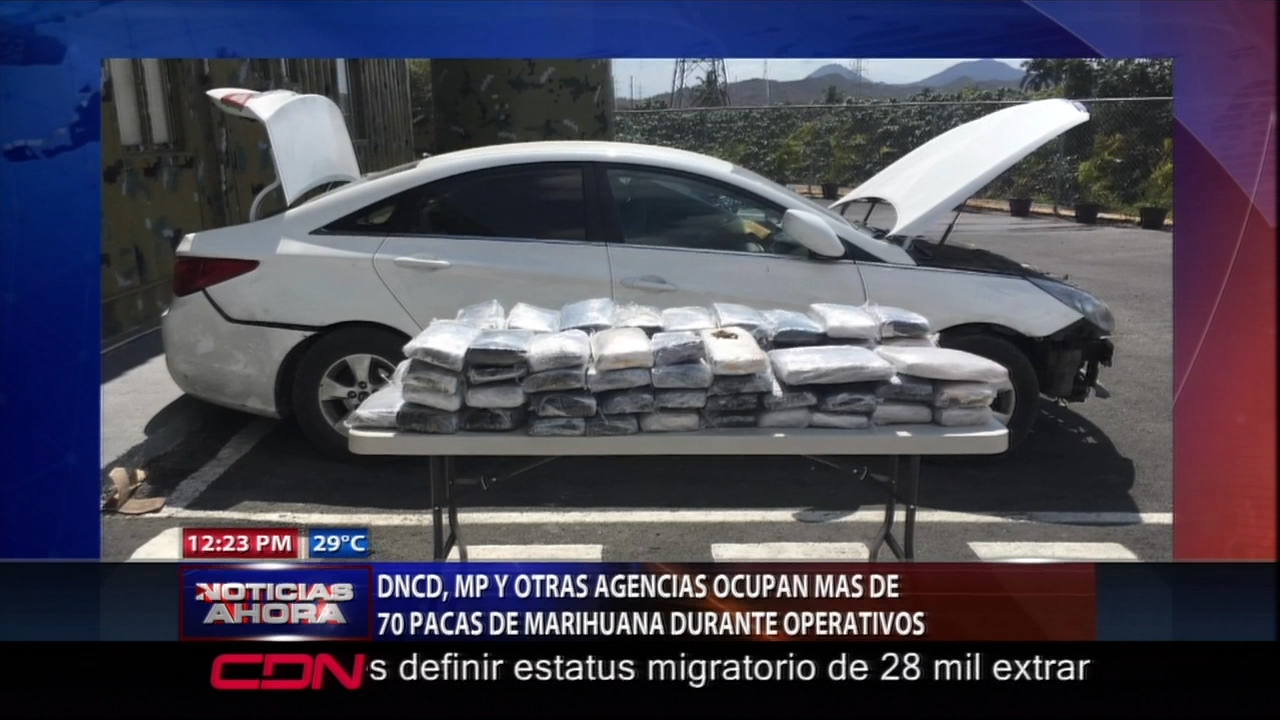 DNCD, MP Y Otras Agencias Ocupan Más De 70 Pacas De Marihuana Durante Operativos