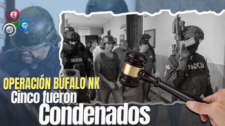 Nueve Miembros De Red De Narcotráfico Se Declaran Culpables En Operación Búfalo NK Y Reciben Condenas Reducidas