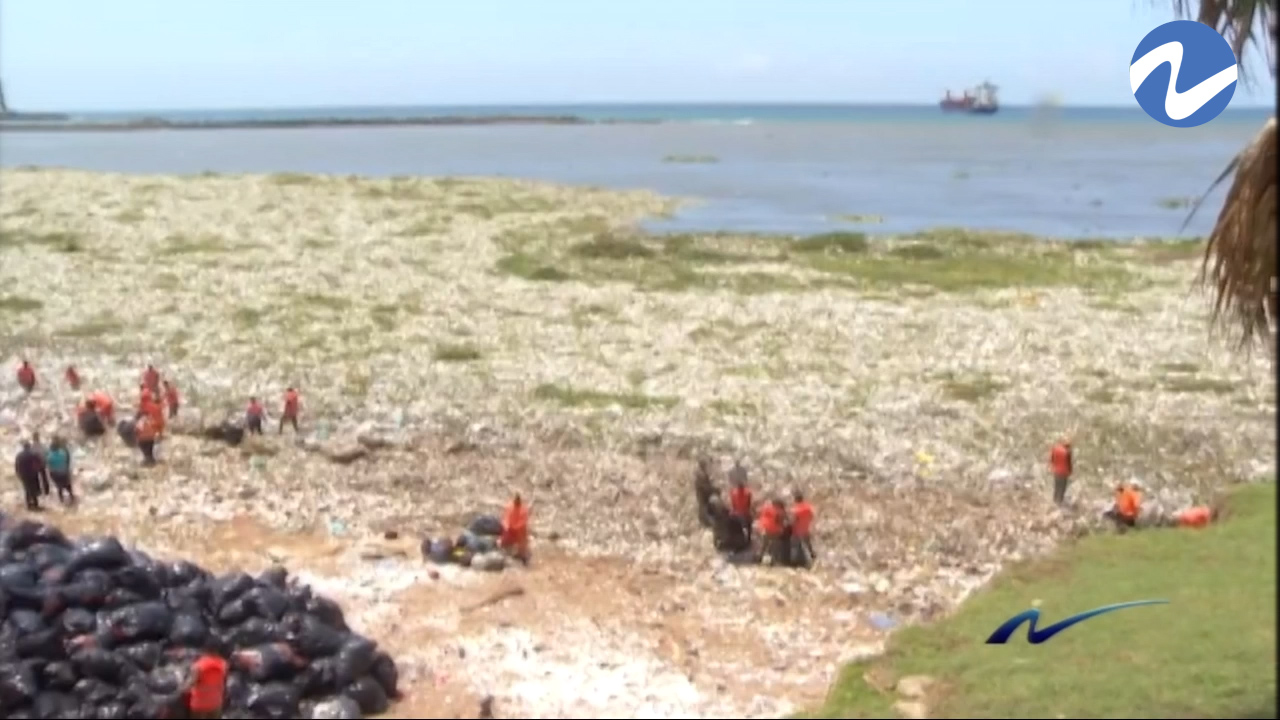 Nuria Piera: A Un Año De Cientos De Tonelada De Plásticos En Nuestra Playa… ¿Qué Se Ha Hecho?