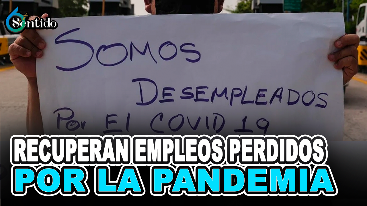 Efectos Del La Pandemia Sobre El Trabajo Están Cerca De Disiparse | 6to Sentido
