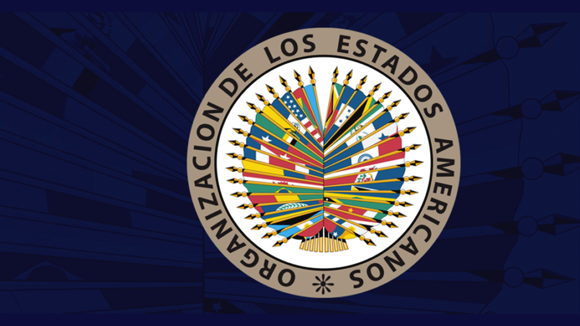 ¿Quiénes Deben Pedir Excusas Por Lo Ocurrido En Las Pasadas Elecciones Del 16 Febrero?