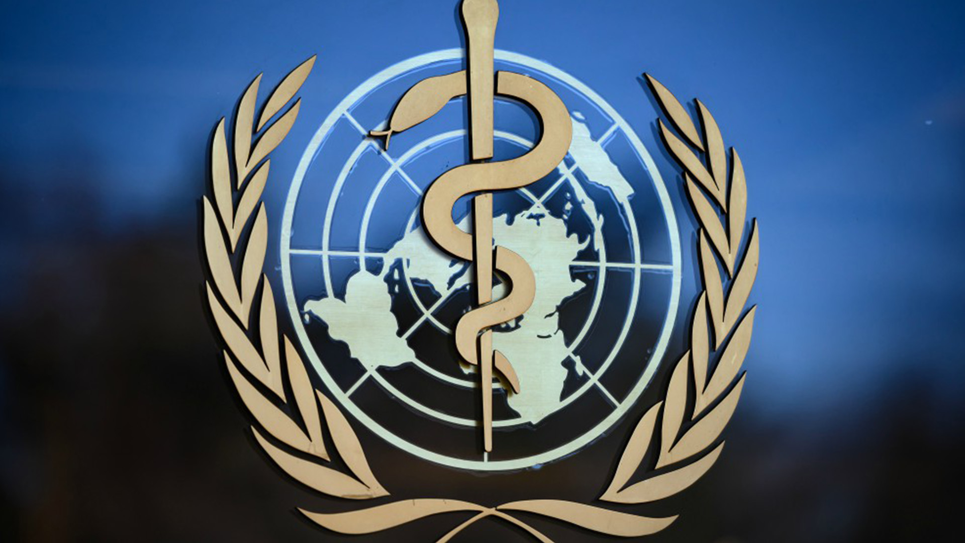 La OMS Reúne Al Comité De Emergencia Para Tratar Nuevas Medidas Contra El Coronavirus