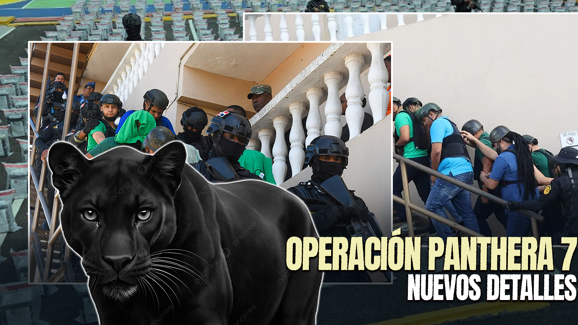 Otro Imputado En El Caso Panthera 7 Acepta Cargos Y Recibe Arresto Domiciliario