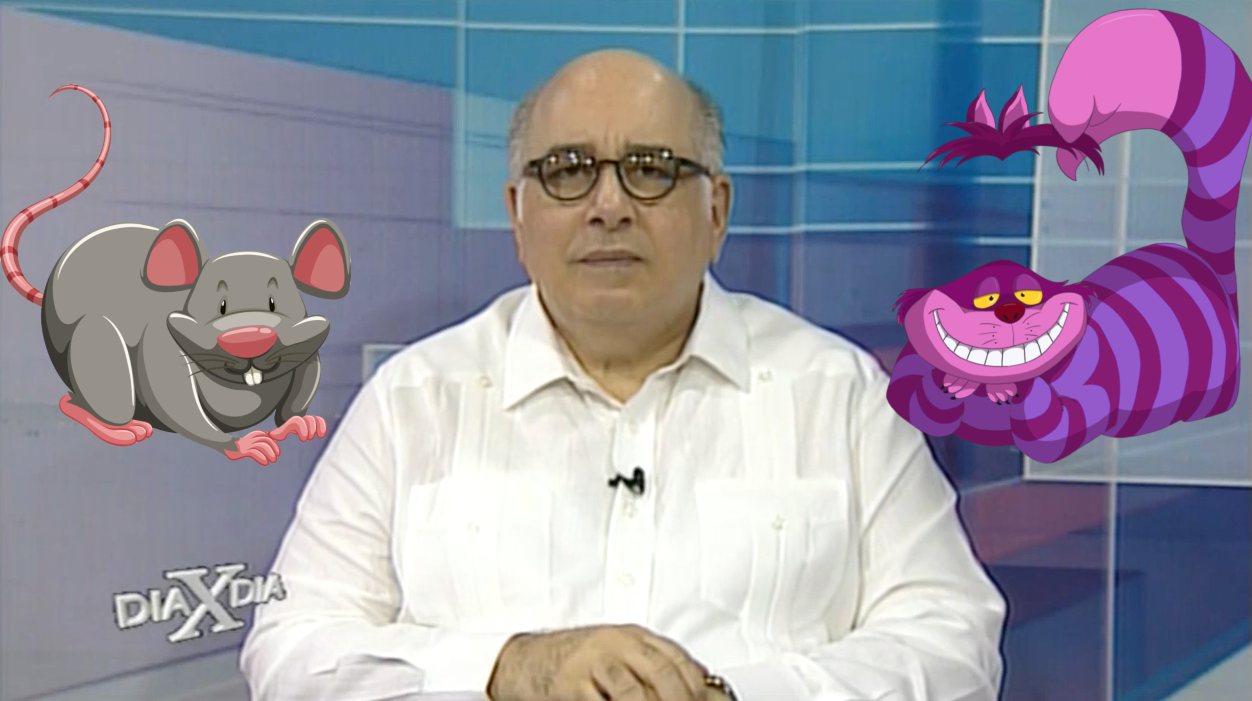 José Baez: La Oposición Dominicana Quiere Vivir Como Los Ratones Enseñándoles Los Dientes Al Gato