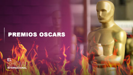 Los Mejores Momentos De Los Premios Oscars 2020 | El Show Internacional