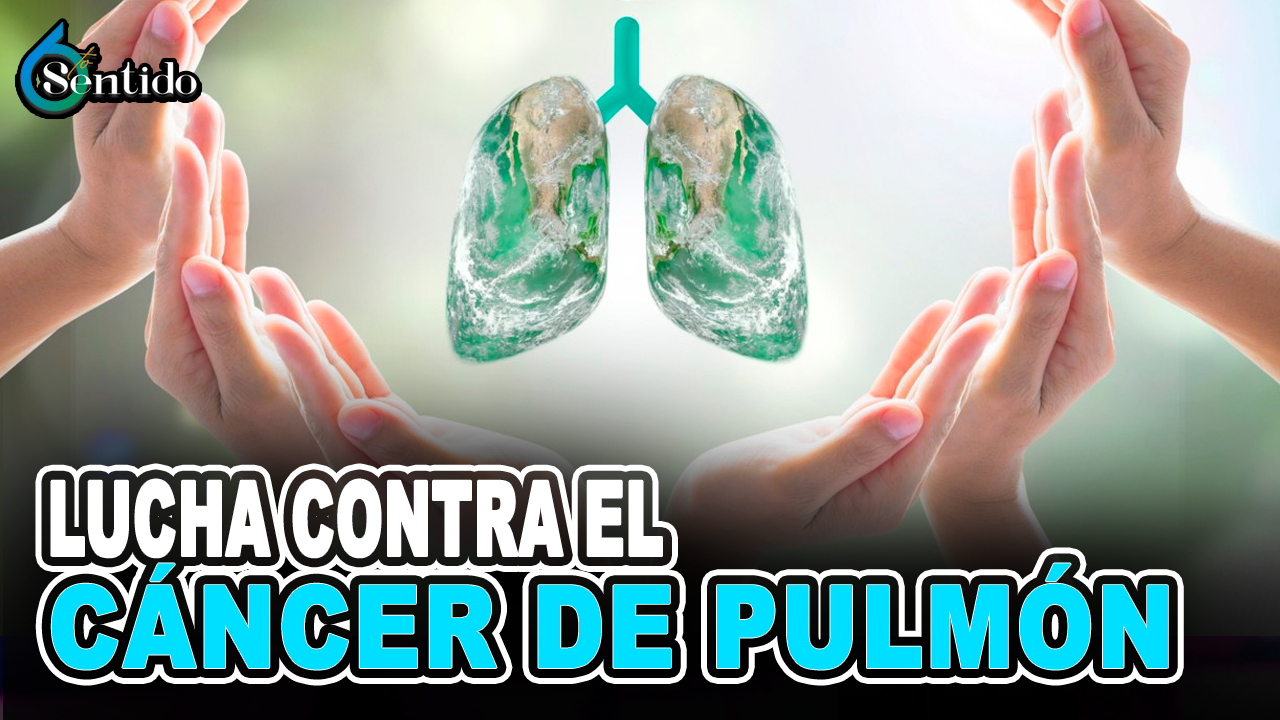 Día Internacional De Lucha Contra El Cáncer De Pulmón | 6to Sentido