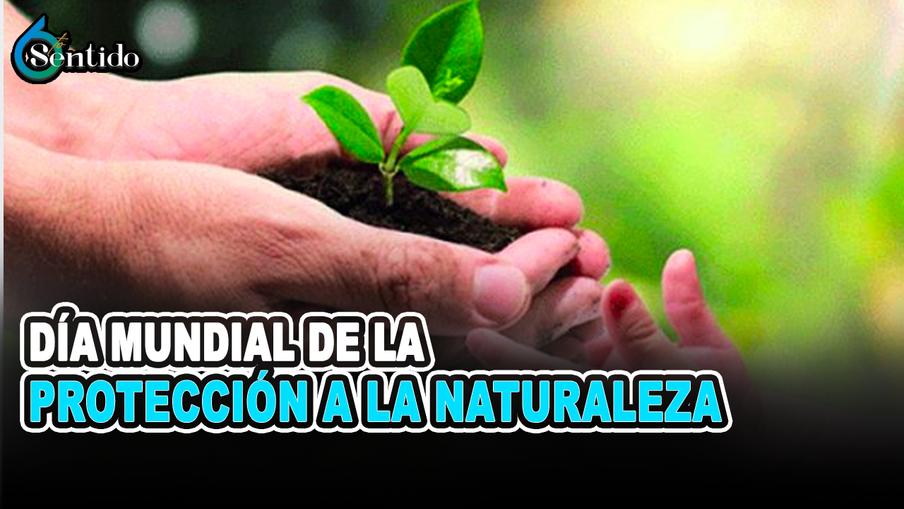 18 De Octubre Día Mundial De La Protección A La Naturaleza | 6to Sentido