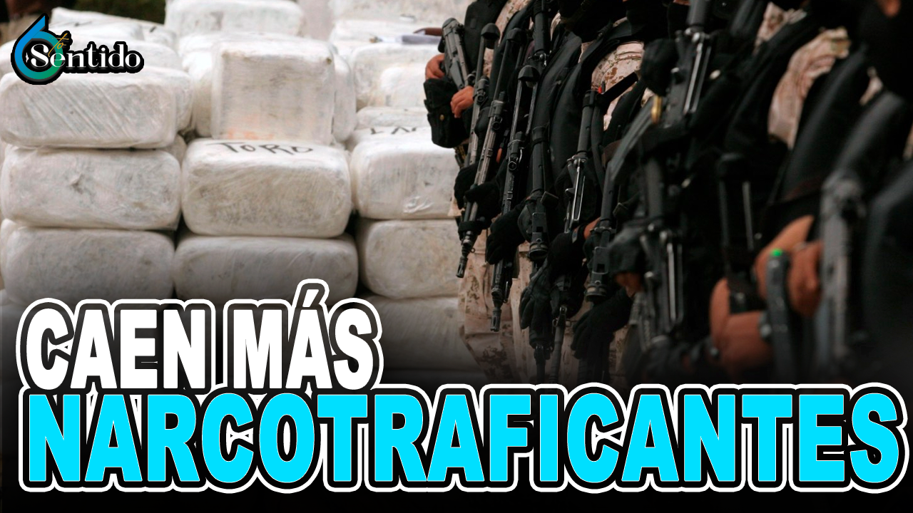 Caen Más Narcos | 6to Sentido