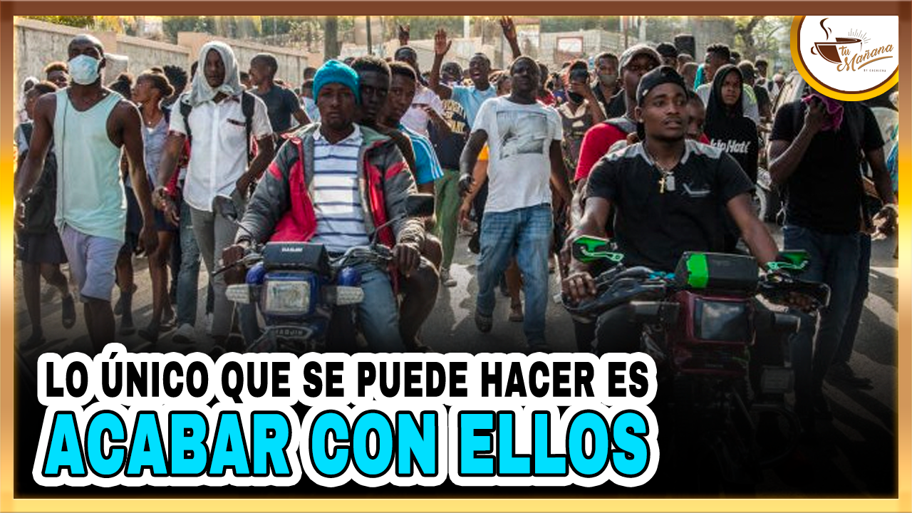 Lo Único Que Se Puede Hacer Es  Acabar Con Ellos | Tu Mañana By Cachicha